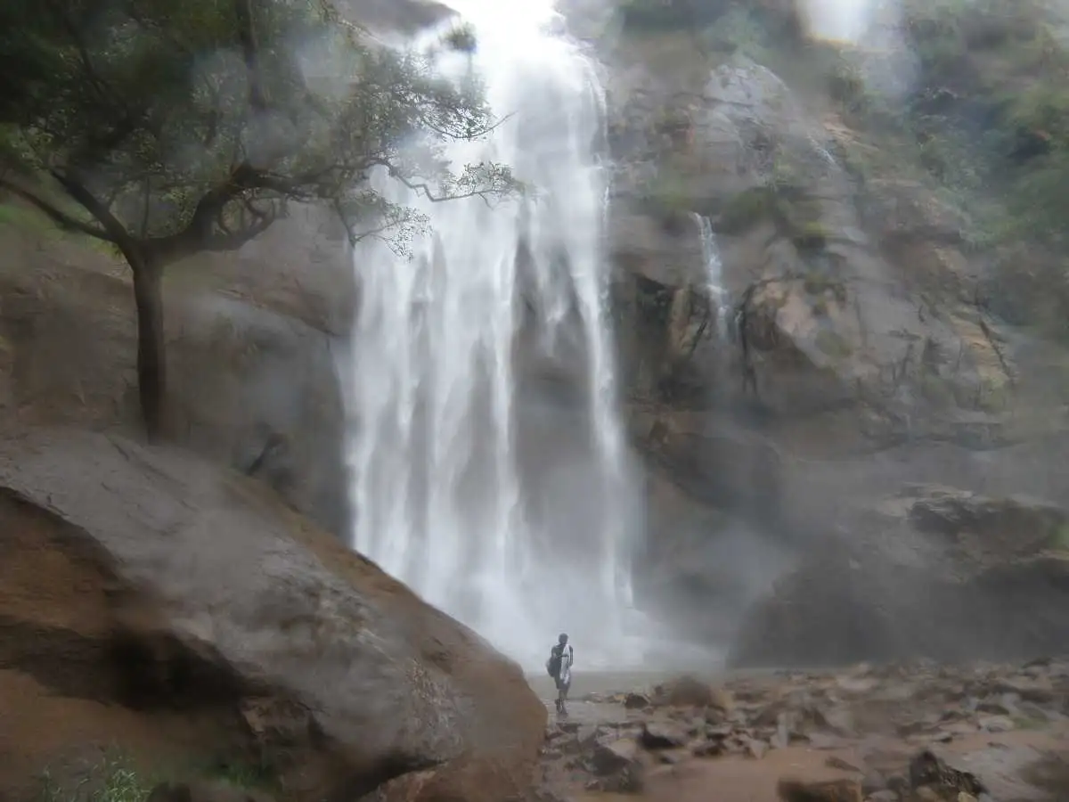 Thiruvarur Tour Packages from Chennai - Tamilnadu Travels