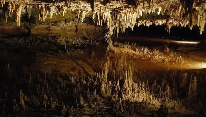 Kukkal Caves