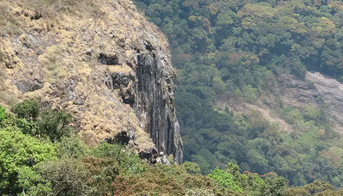 View of a Valley