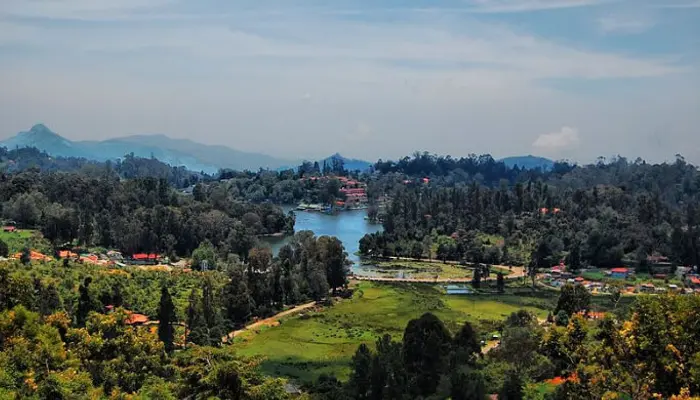 View Of a Lake From Top
