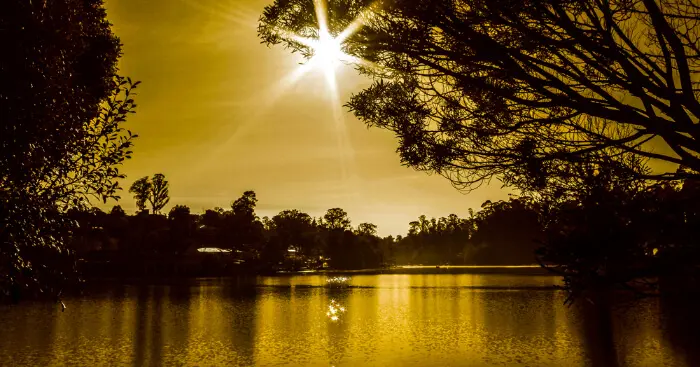 a bridge extending in a lake
